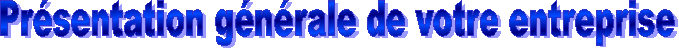 Pr&eacute;sentation g&eacute;n&eacute;rale de votre entreprise